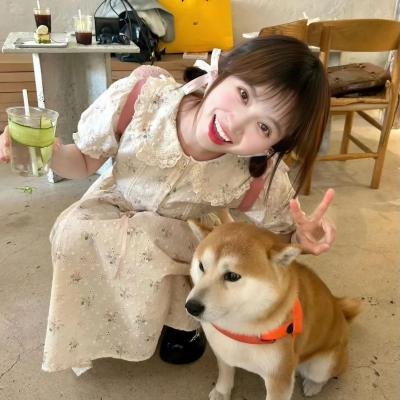 酷狗上学记