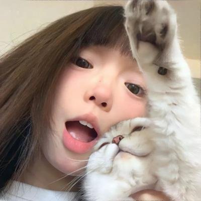 一切都鸟了